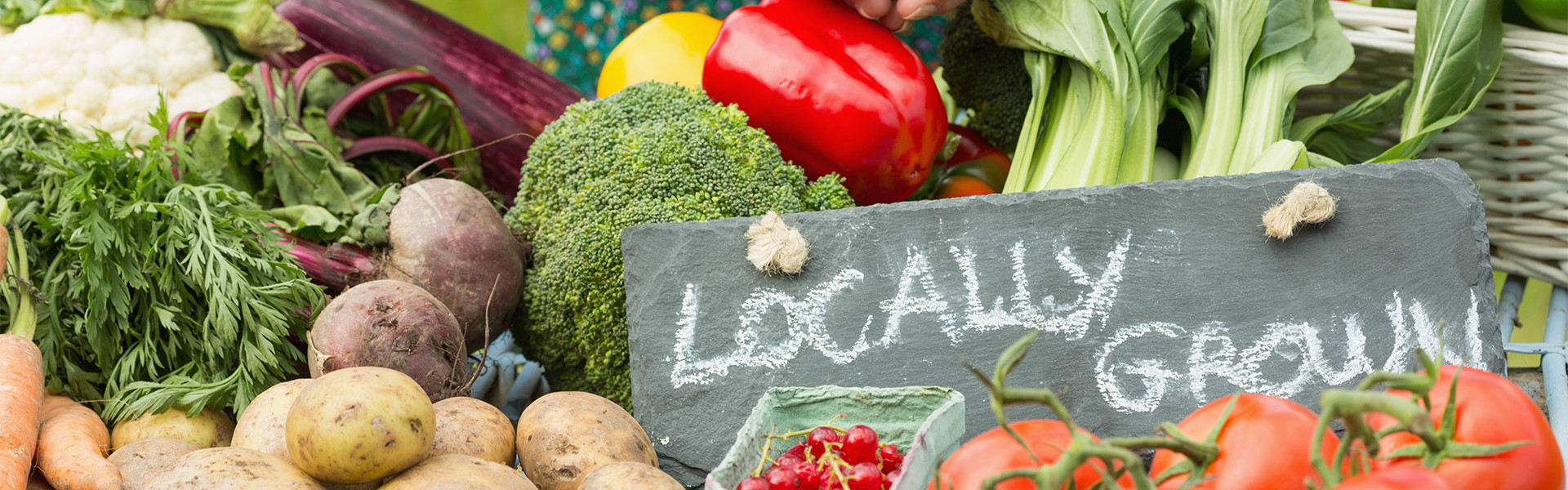A & M Lane Farms